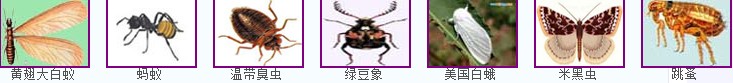 ��Դ���x��˾�ṩ��ȫ���x��ȫ